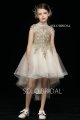 champagne tulle front low back long flower girl dress gold lace 5D7A3757